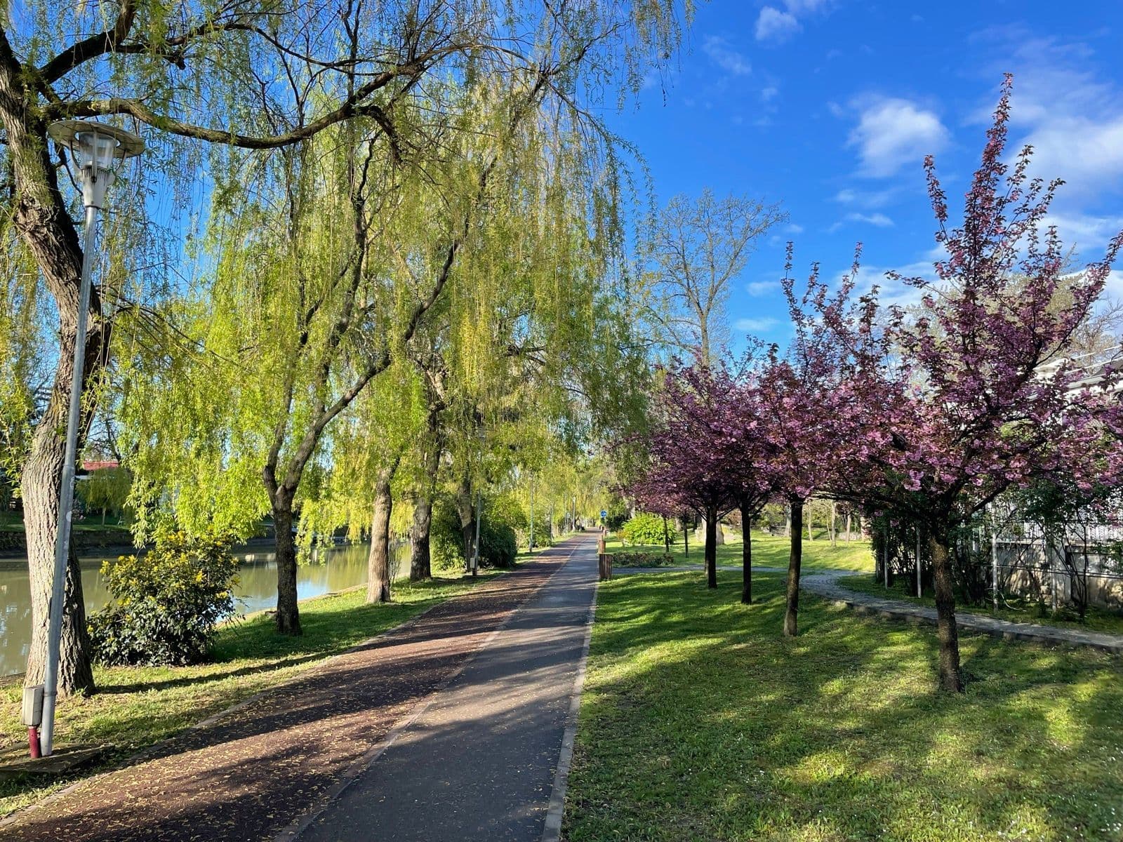 Timisoara - Lugoj route